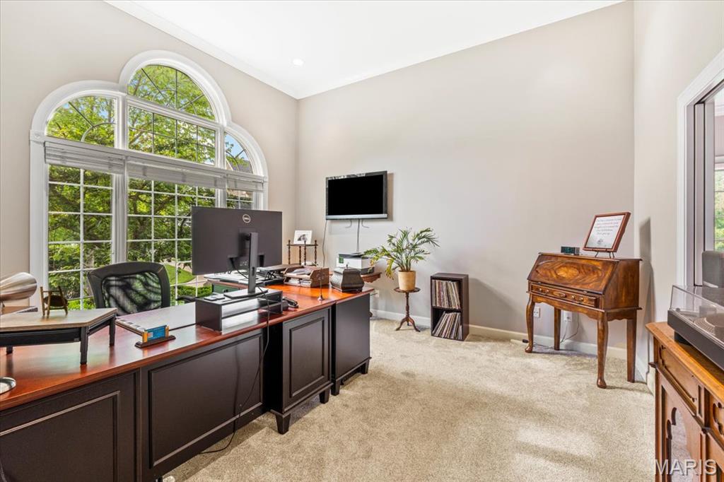 17903 White Robin Court