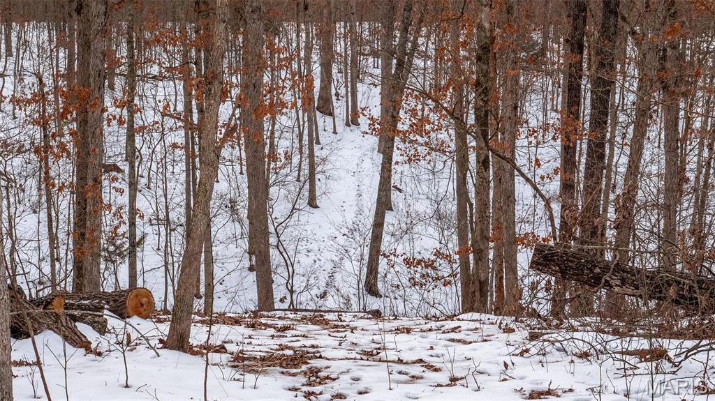 0 Pebble Creek Drive