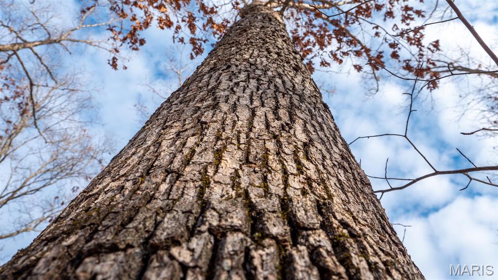 0 Pebble Creek Drive