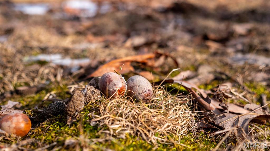 0 Pebble Creek Drive