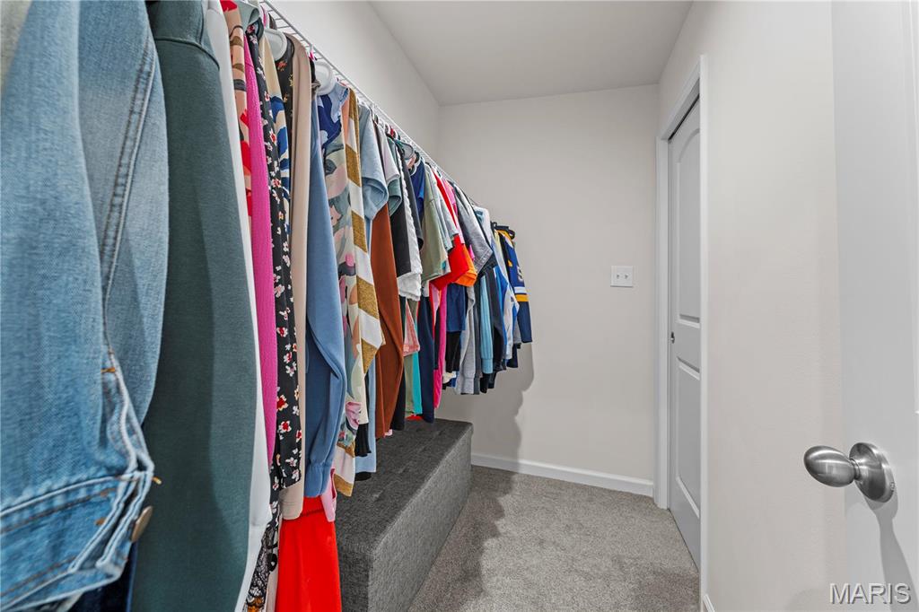 560 Arctic Wolf Drive