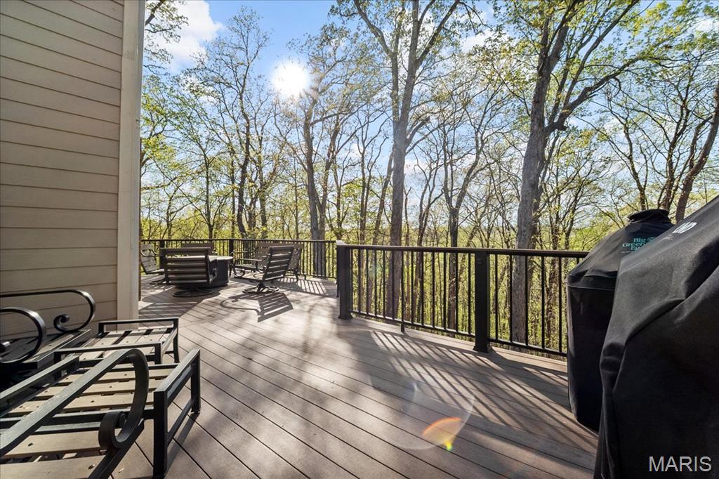 17732 Birch Leaf Court