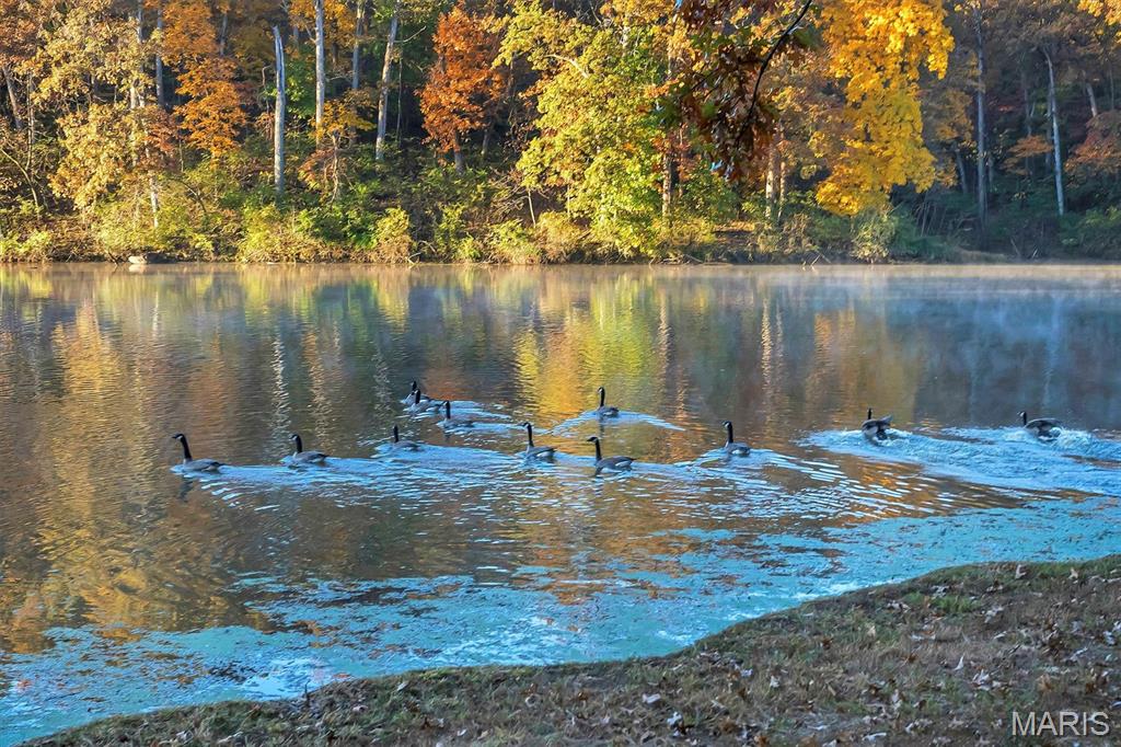 16480 Walnut Rail Road