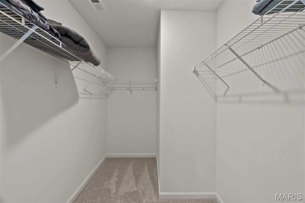 844 Black Bear Drive