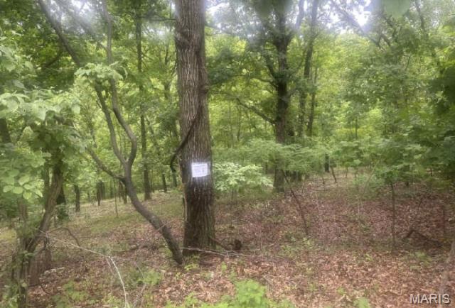 1361 Bear Canyon Road