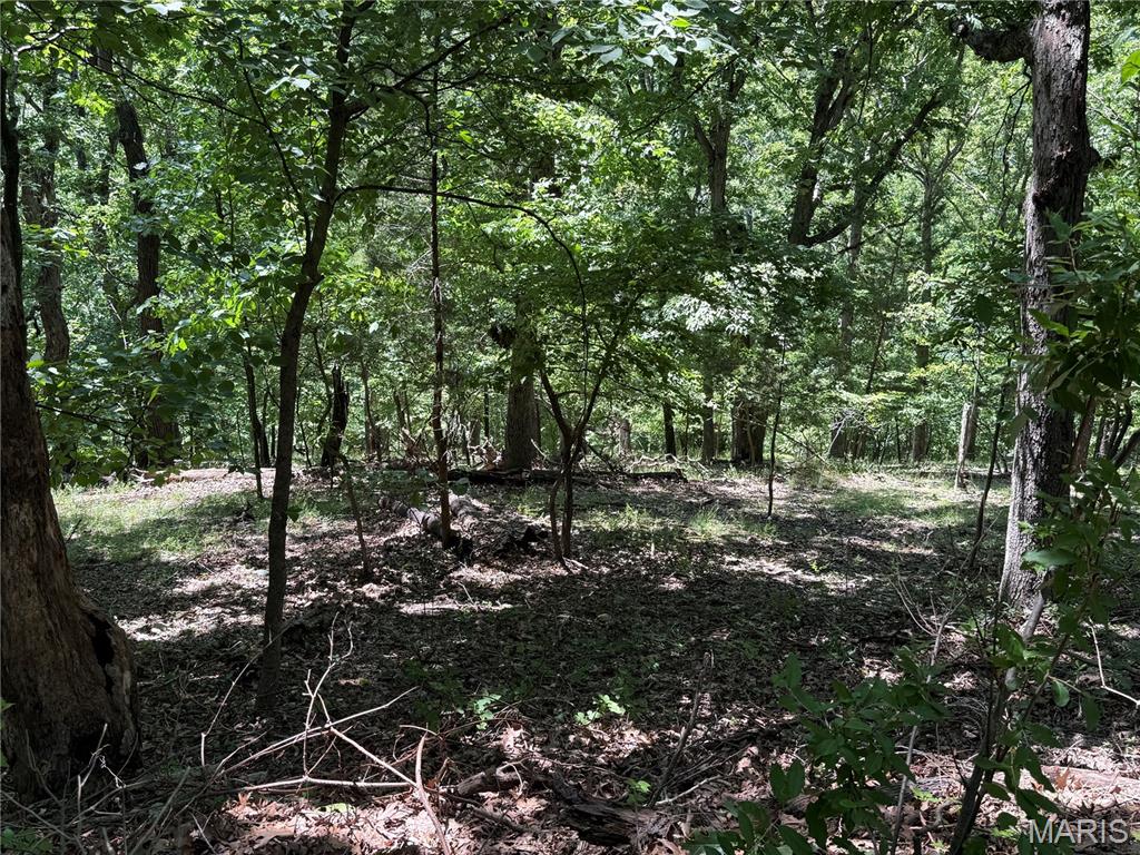 1361 Bear Canyon Road