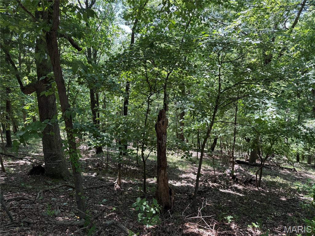 1361 Bear Canyon Road