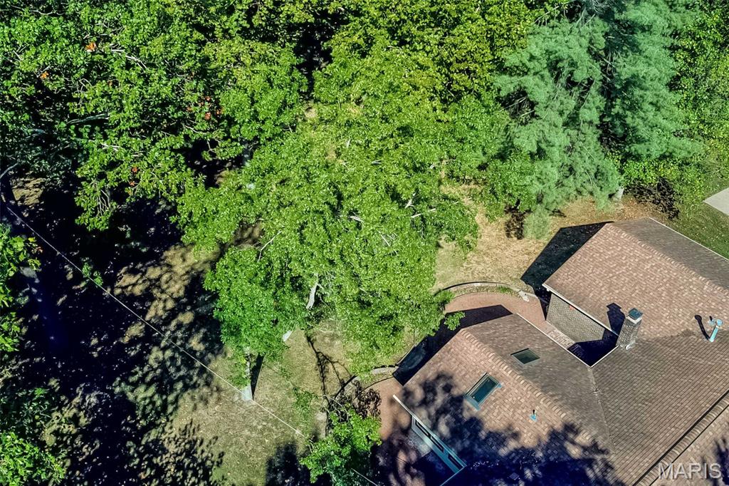 10760 Forest Path Drive