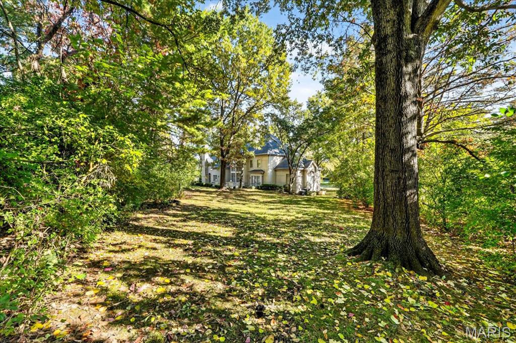 10444 Litzsinger Road