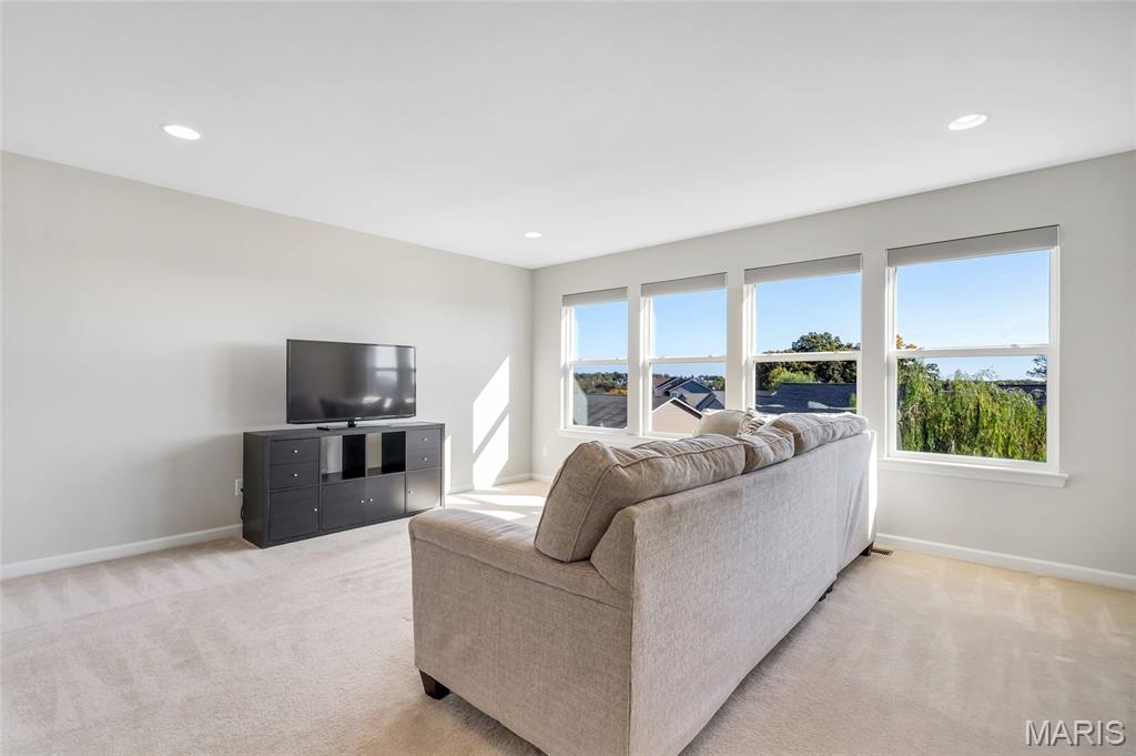 910 Ellis Park Drive