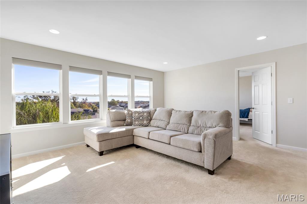 910 Ellis Park Drive