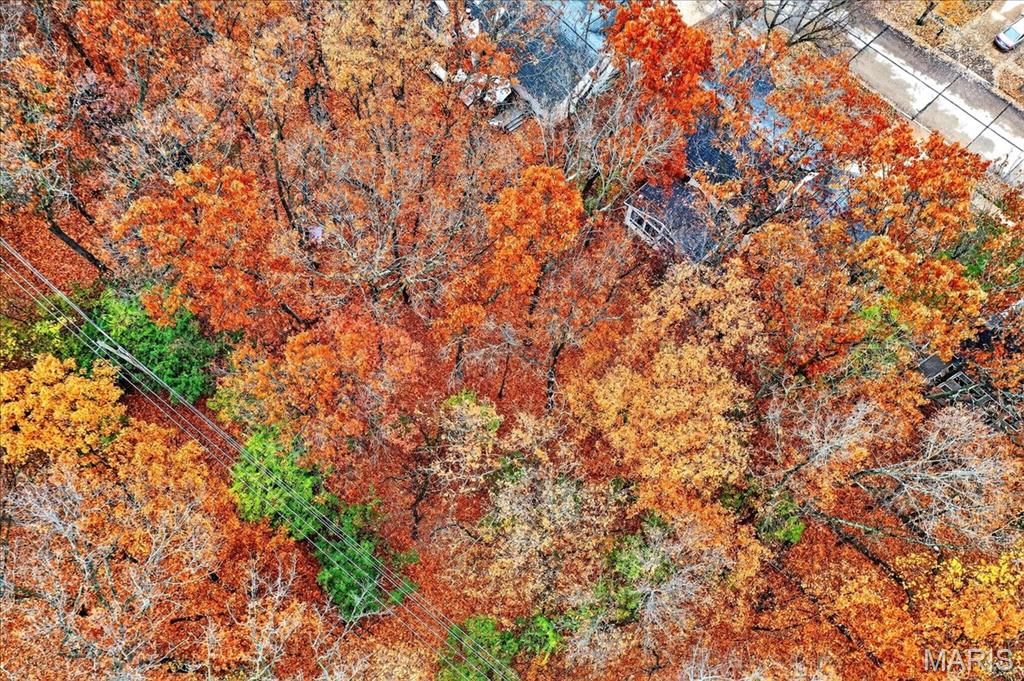 16559 Thunderhead Canyon Court