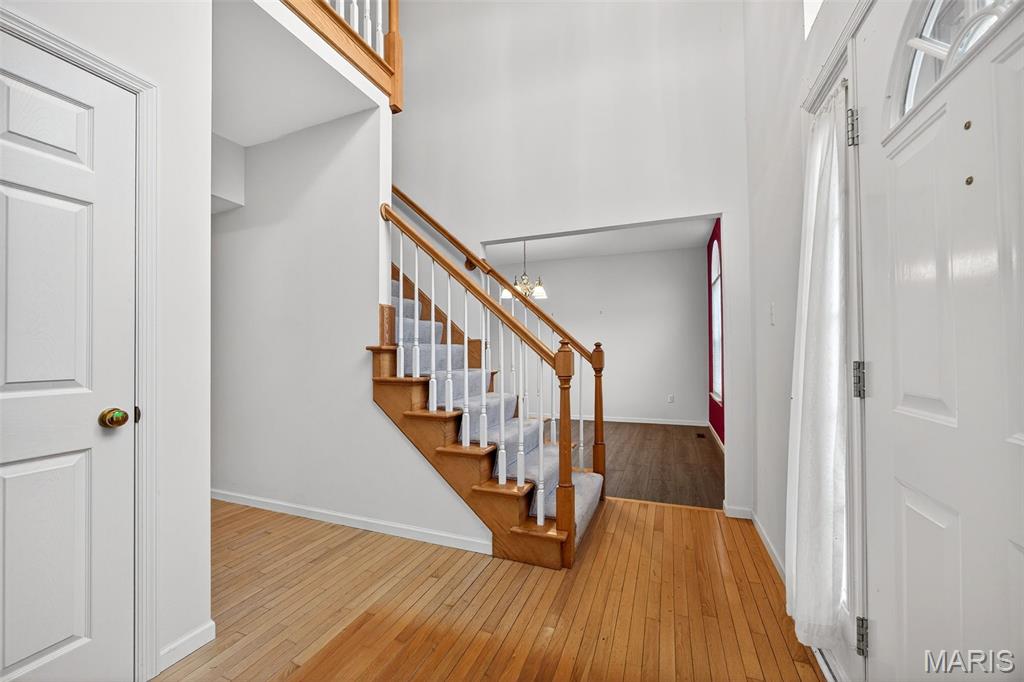 2338 Downey Terrace Drive