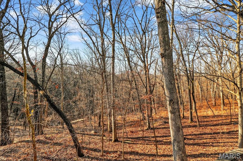 17716 Birch Leaf Court