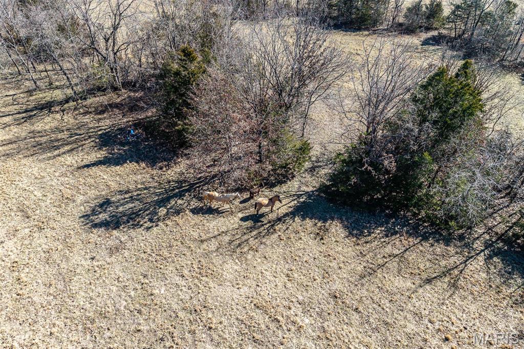 28345 Sapphire Drive