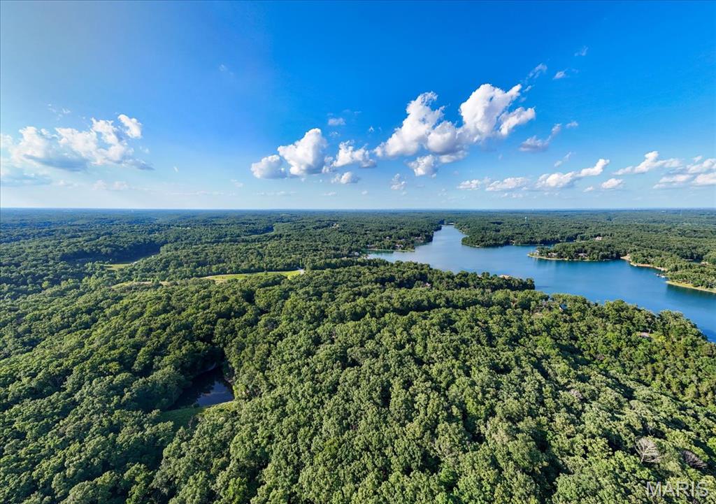 2506 Alpine Woods Drive