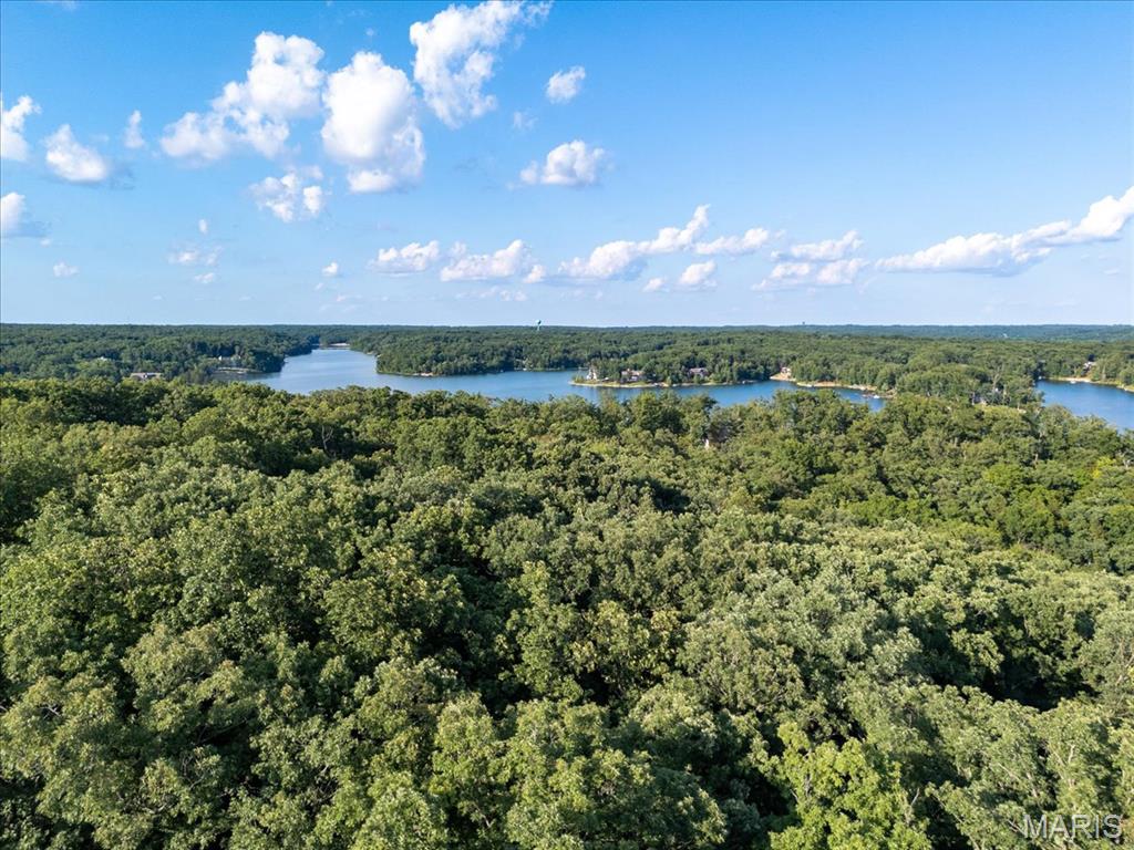 2506 Alpine Woods Drive