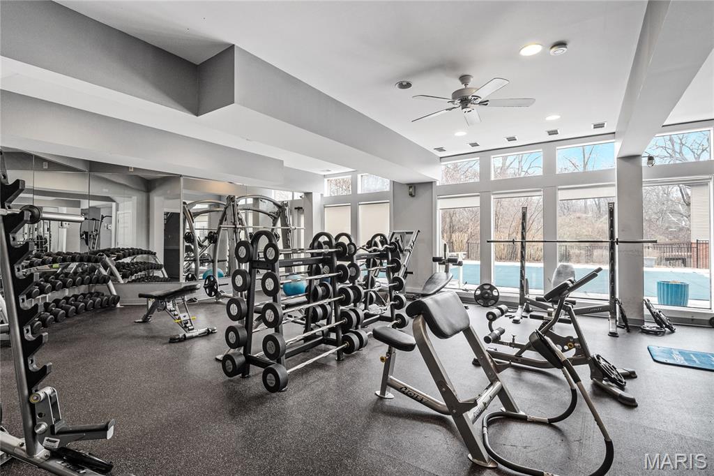 707 Forest Trace Drive