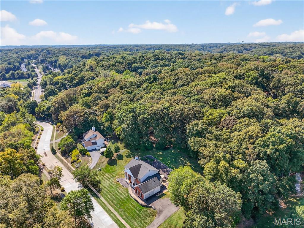 539 McBride Pointe Drive