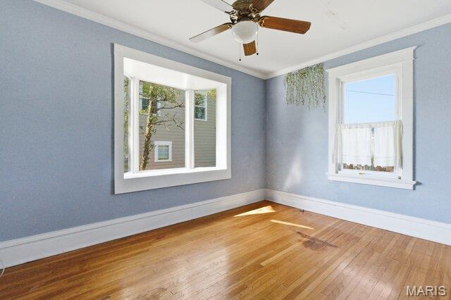 23 Midpark Lane