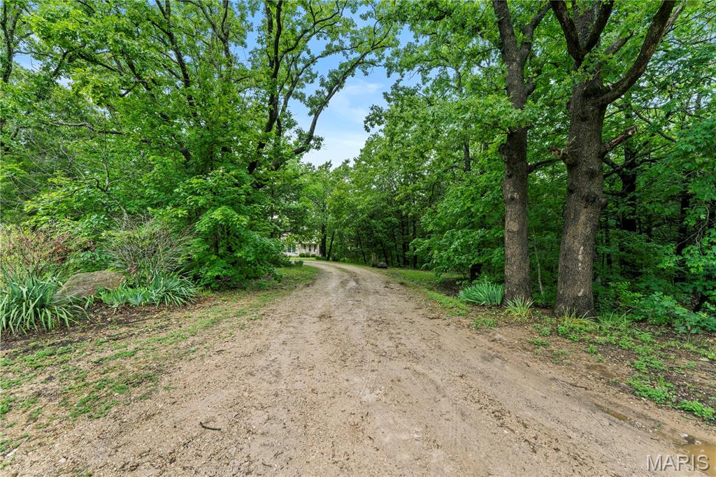 167 Wildwood Ridge