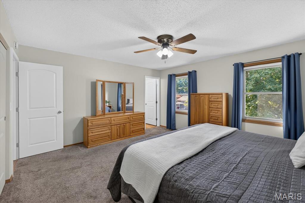 12120 Jeannette Mary Drive