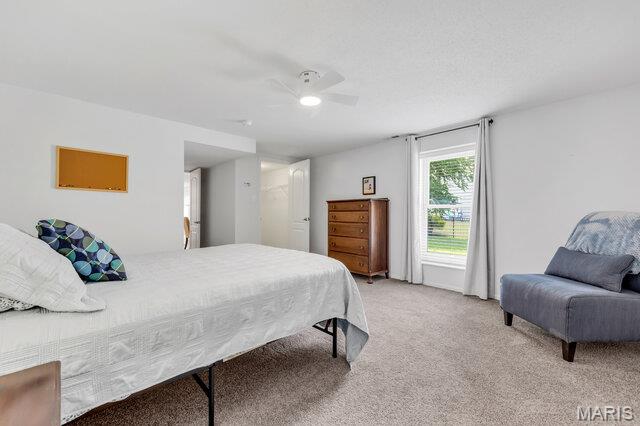 7224 Cinnamon Teal Drive