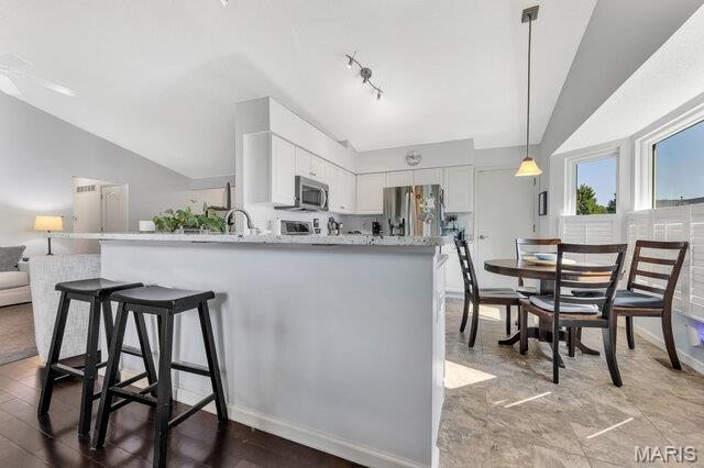 7224 Cinnamon Teal Drive