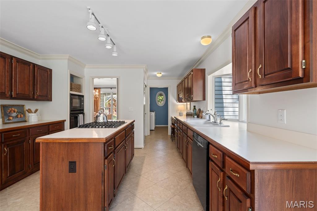 13376 Bahnfyre Drive