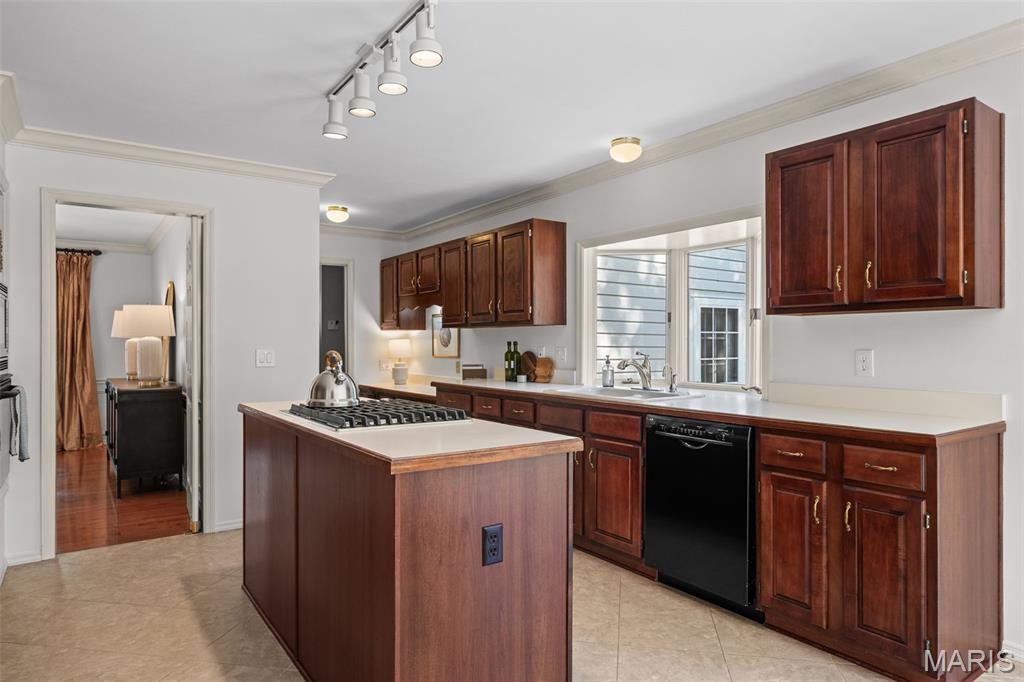 13376 Bahnfyre Drive