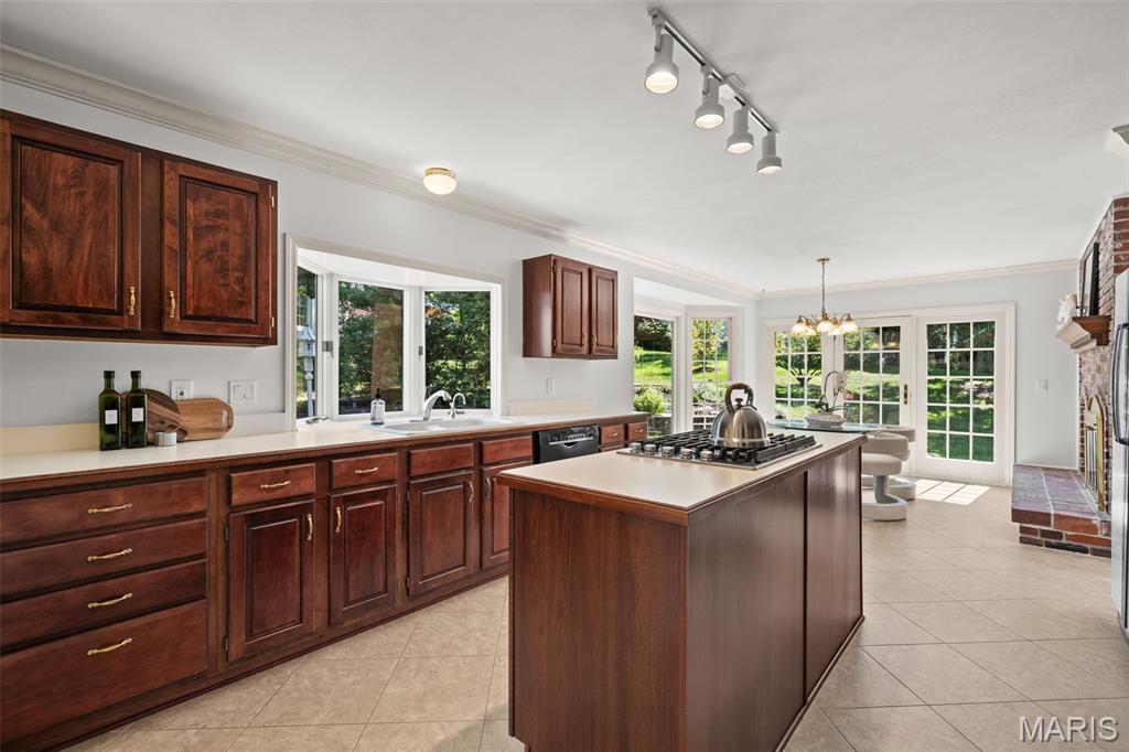 13376 Bahnfyre Drive