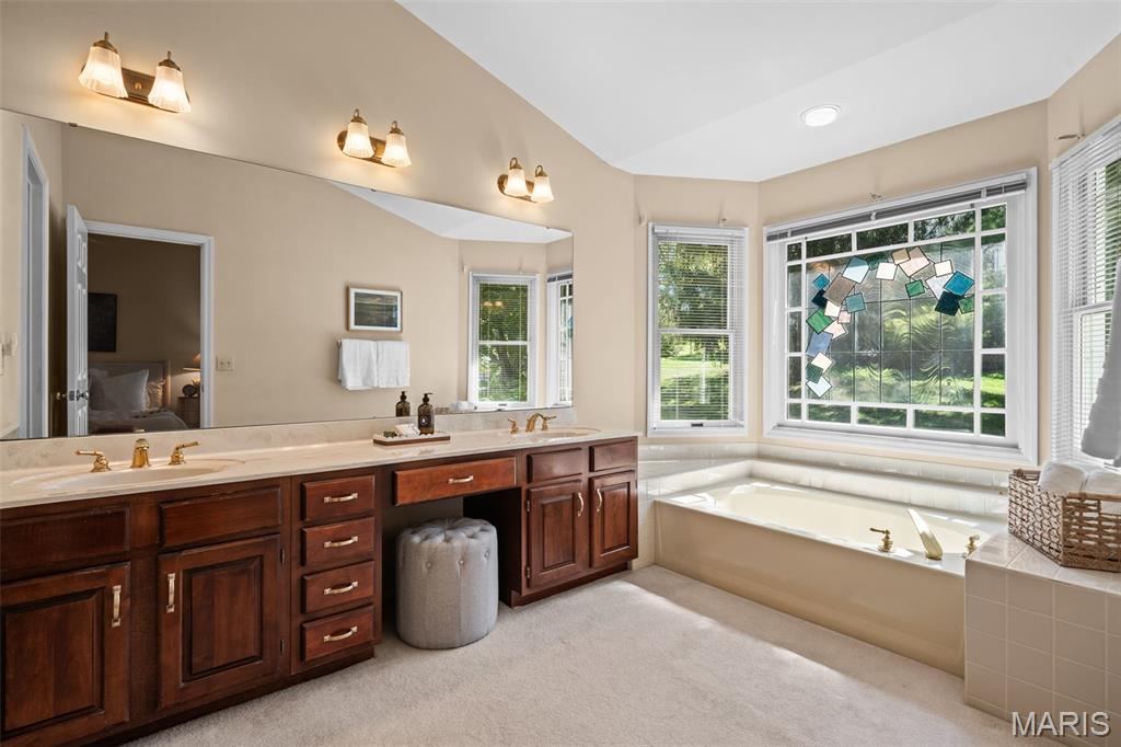 13376 Bahnfyre Drive