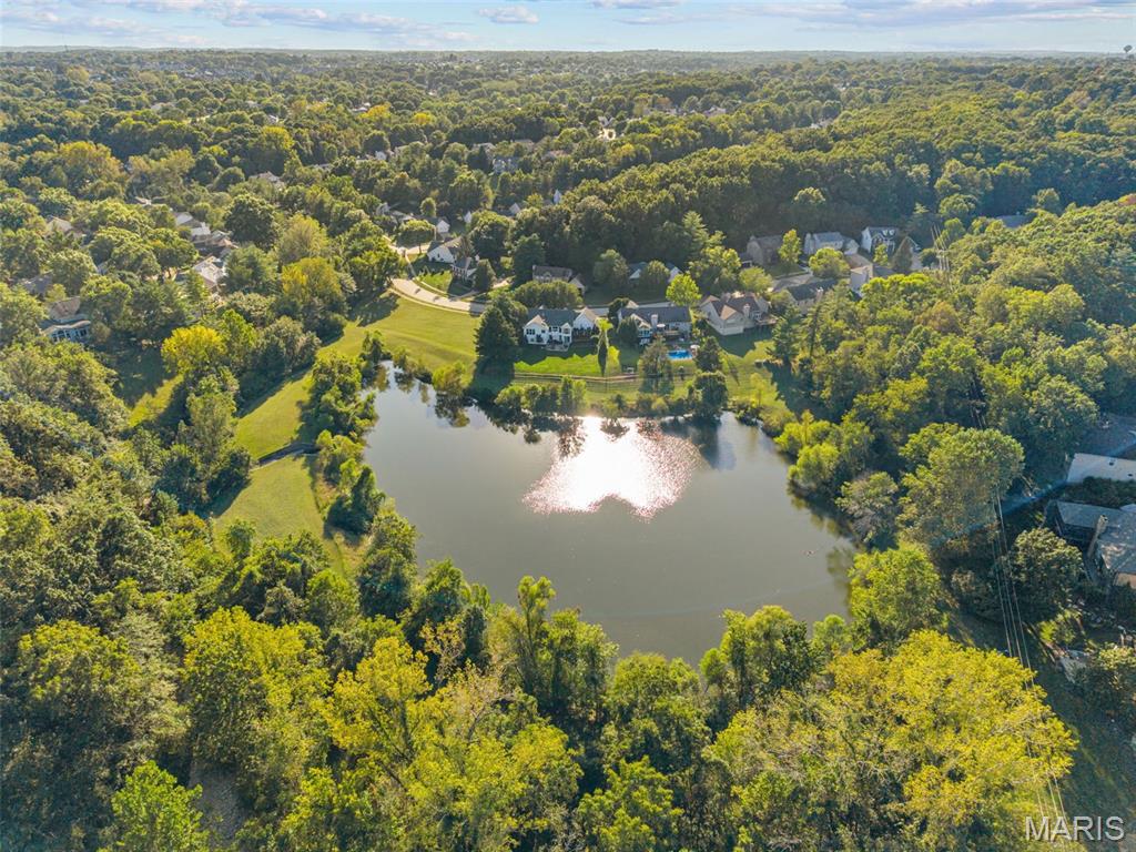16500 Thunderhead Canyon Court