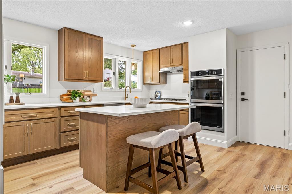 1294 Pinrun Drive