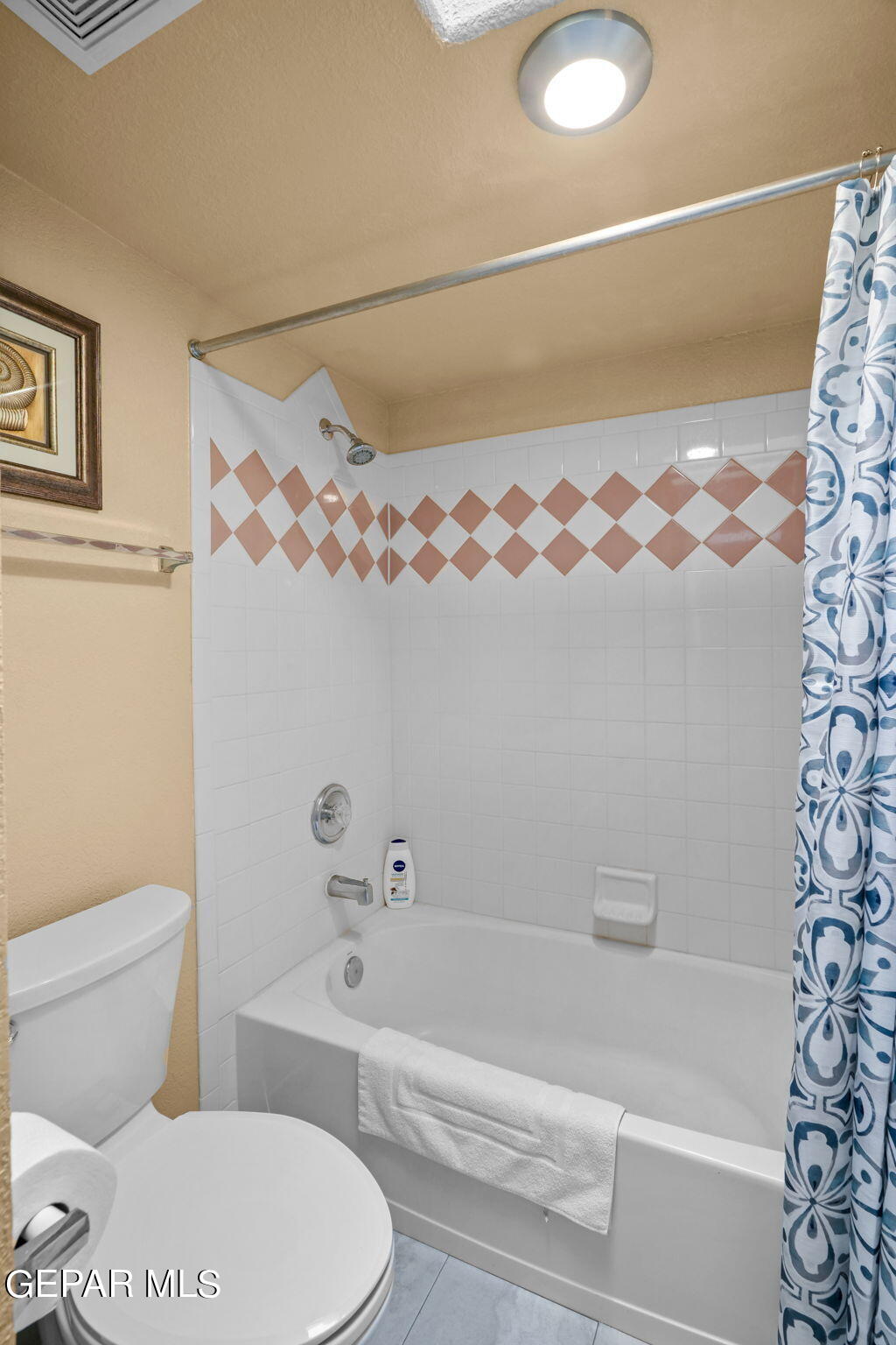 4233 Loma Taurina Drive