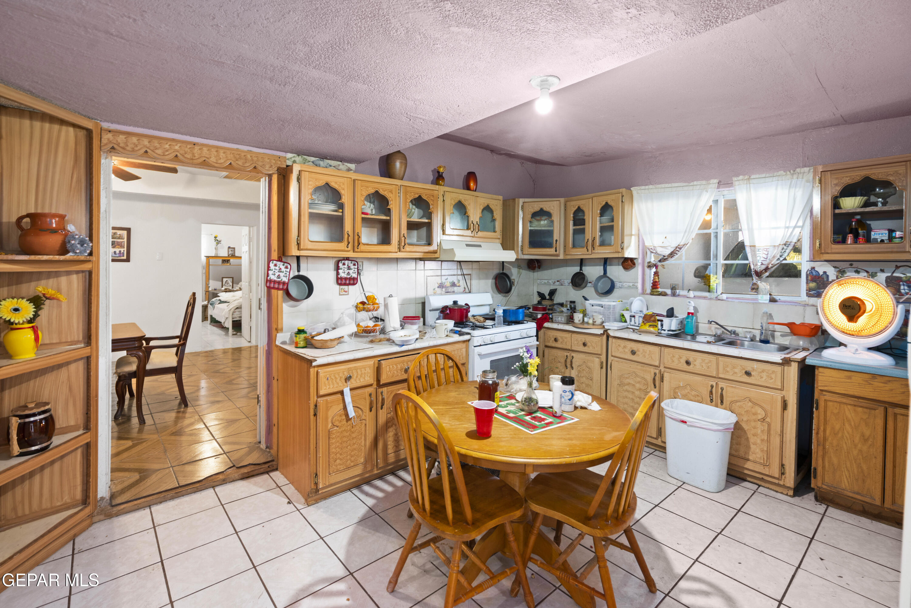 13230 Gloria Elena Drive