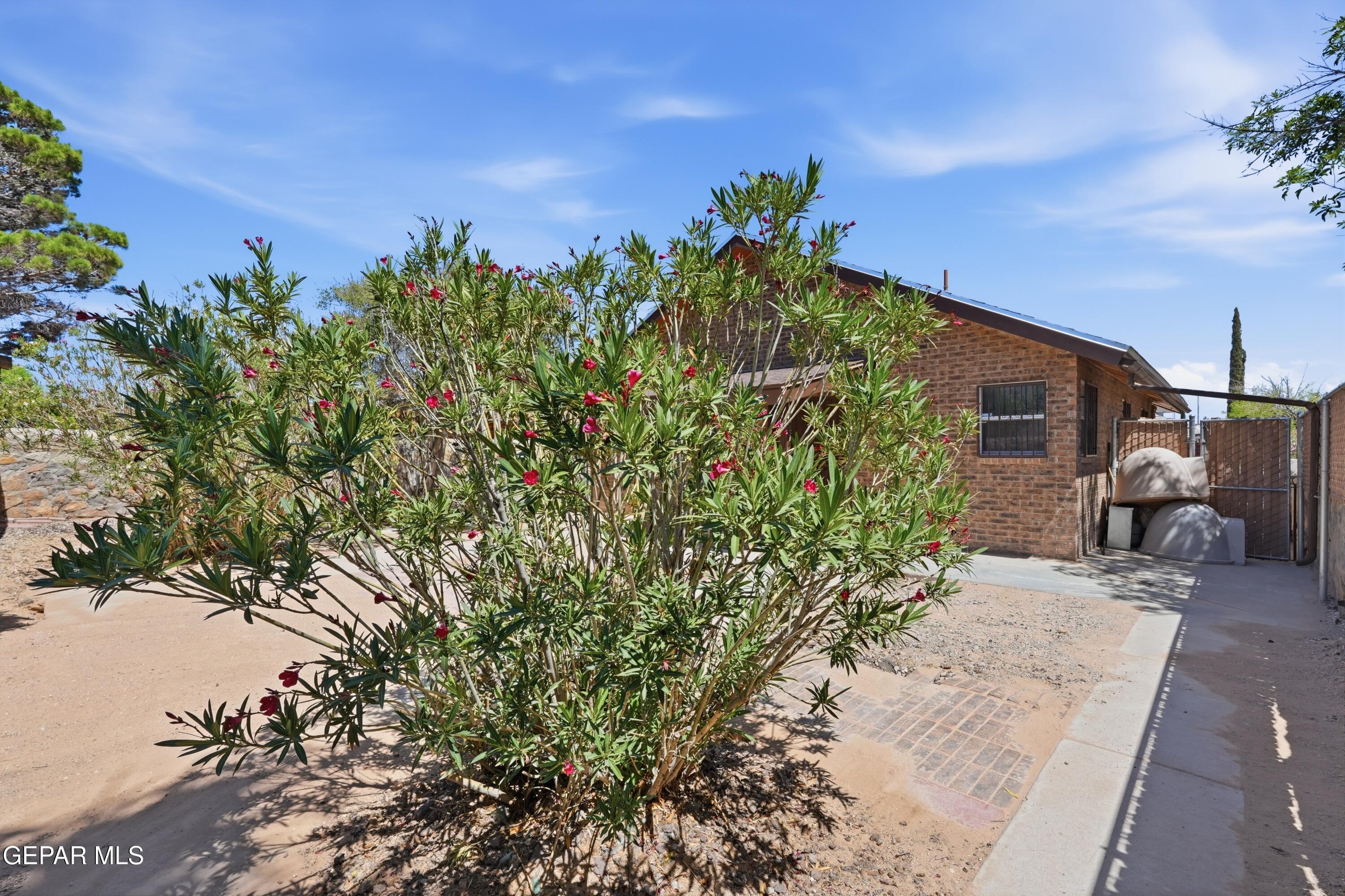 12224 PEDRO FIGARI Avenue
