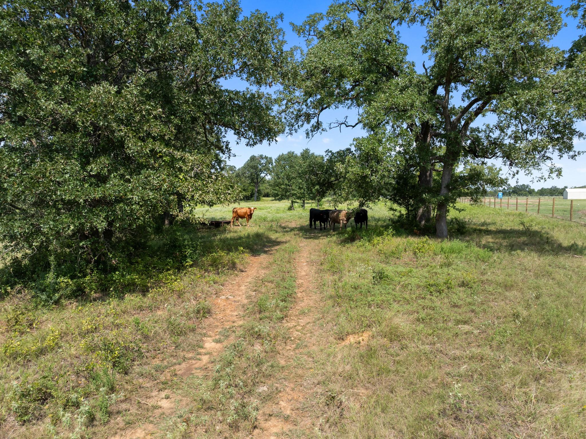 TBD Cazey Loop
