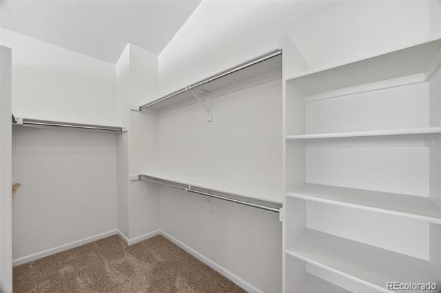4405 Millwagon Trail