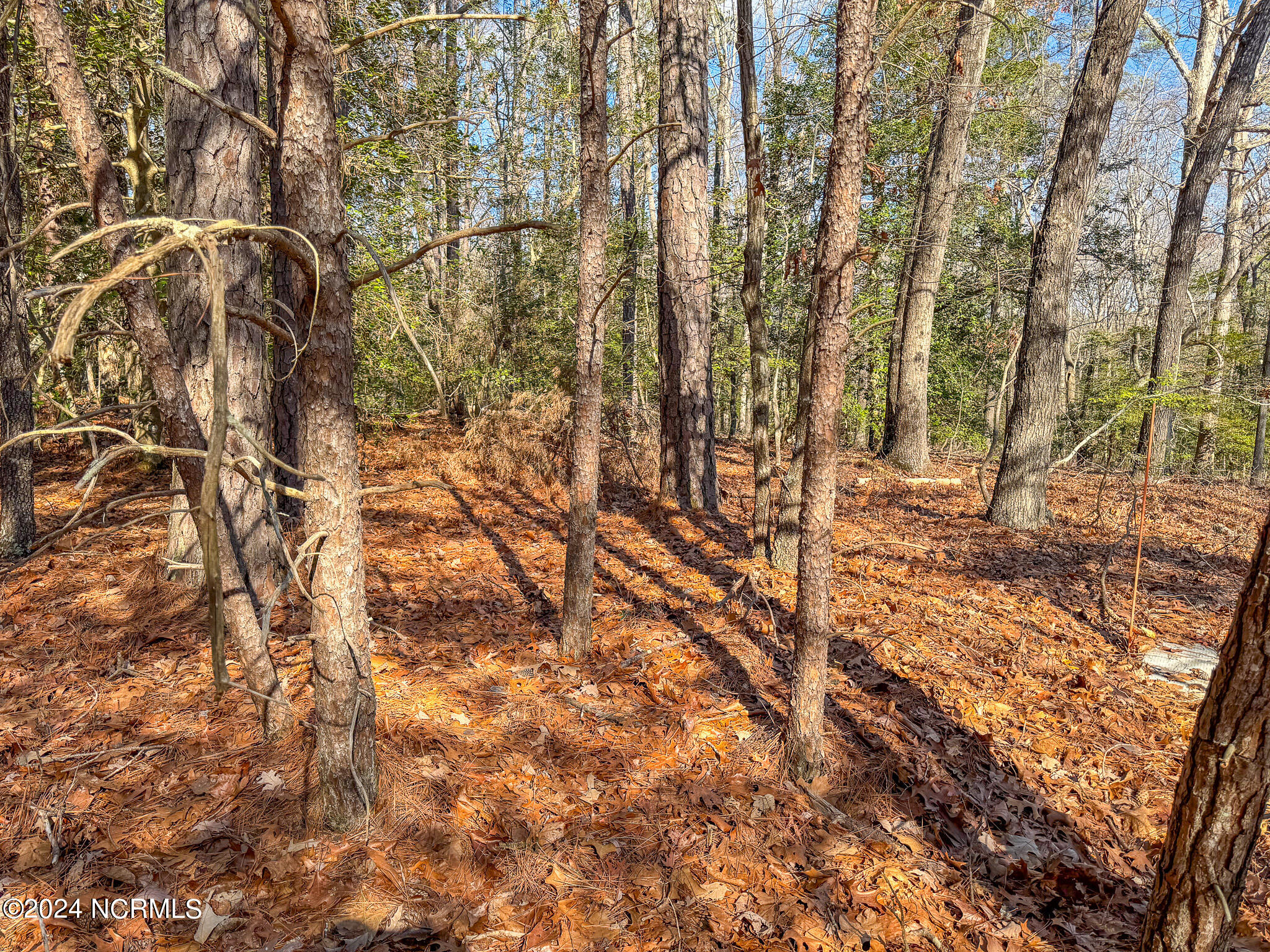 105 27 Western Trail