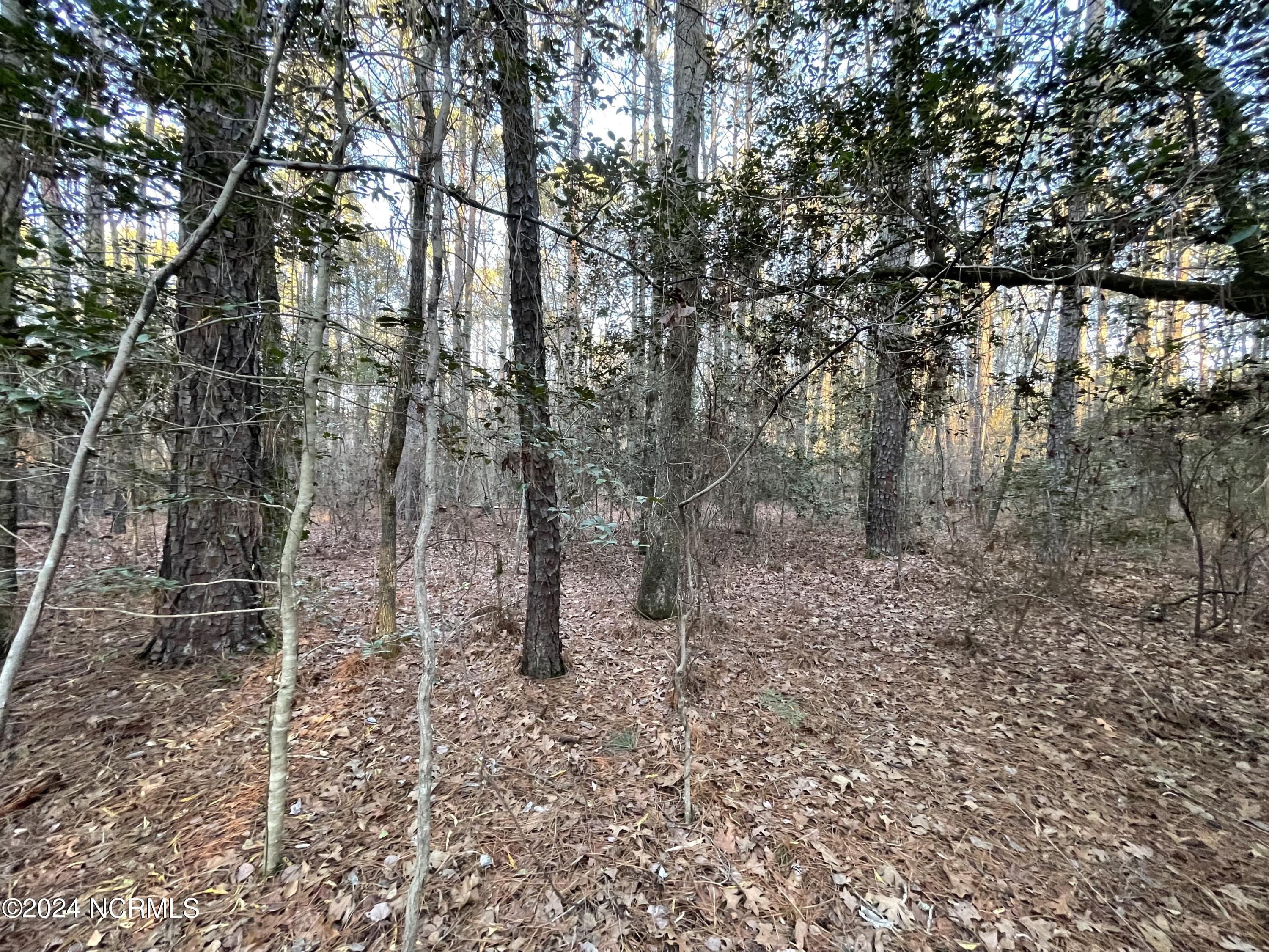 1053 592 Loblolly Drive