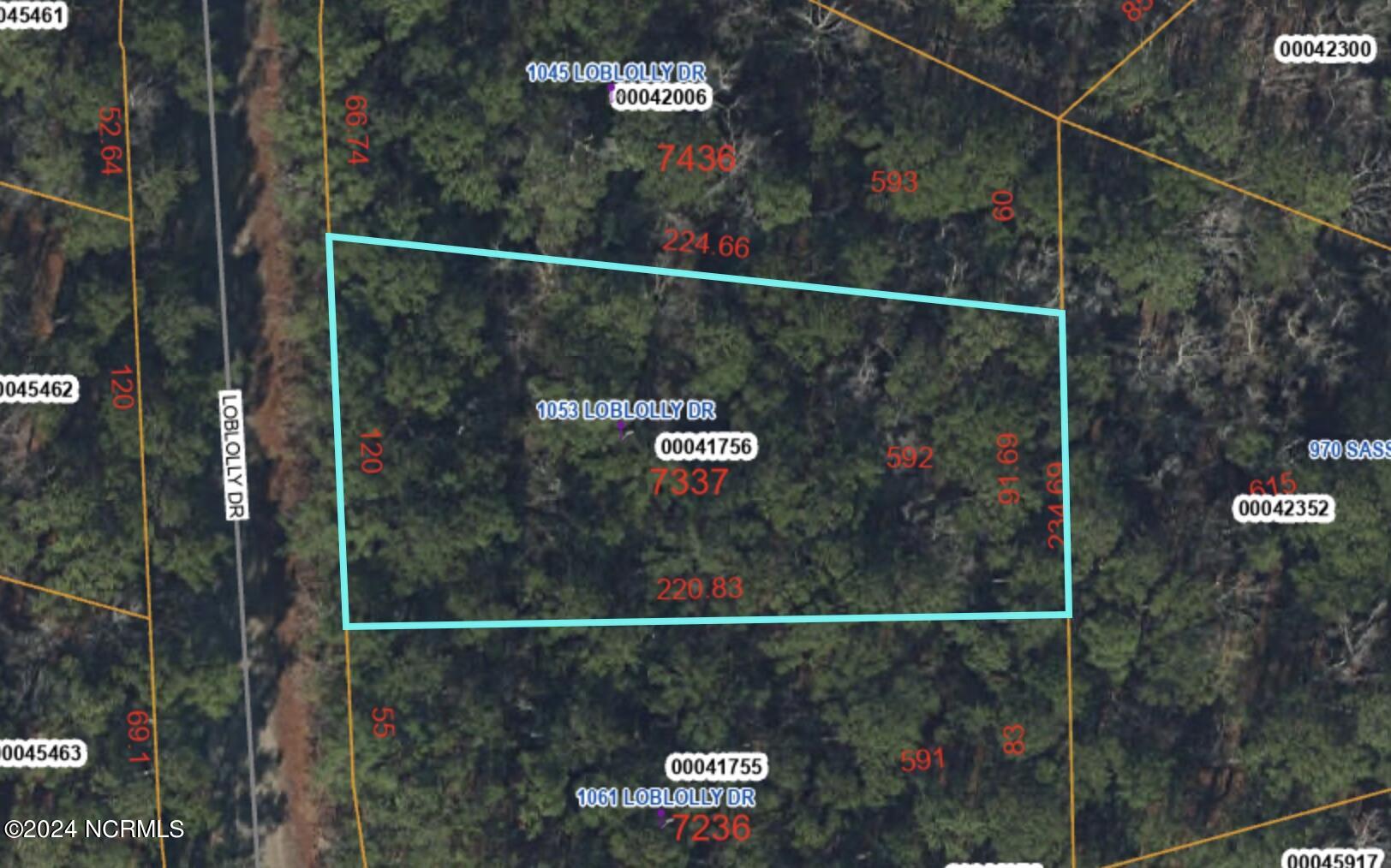 1053 592 Loblolly Drive