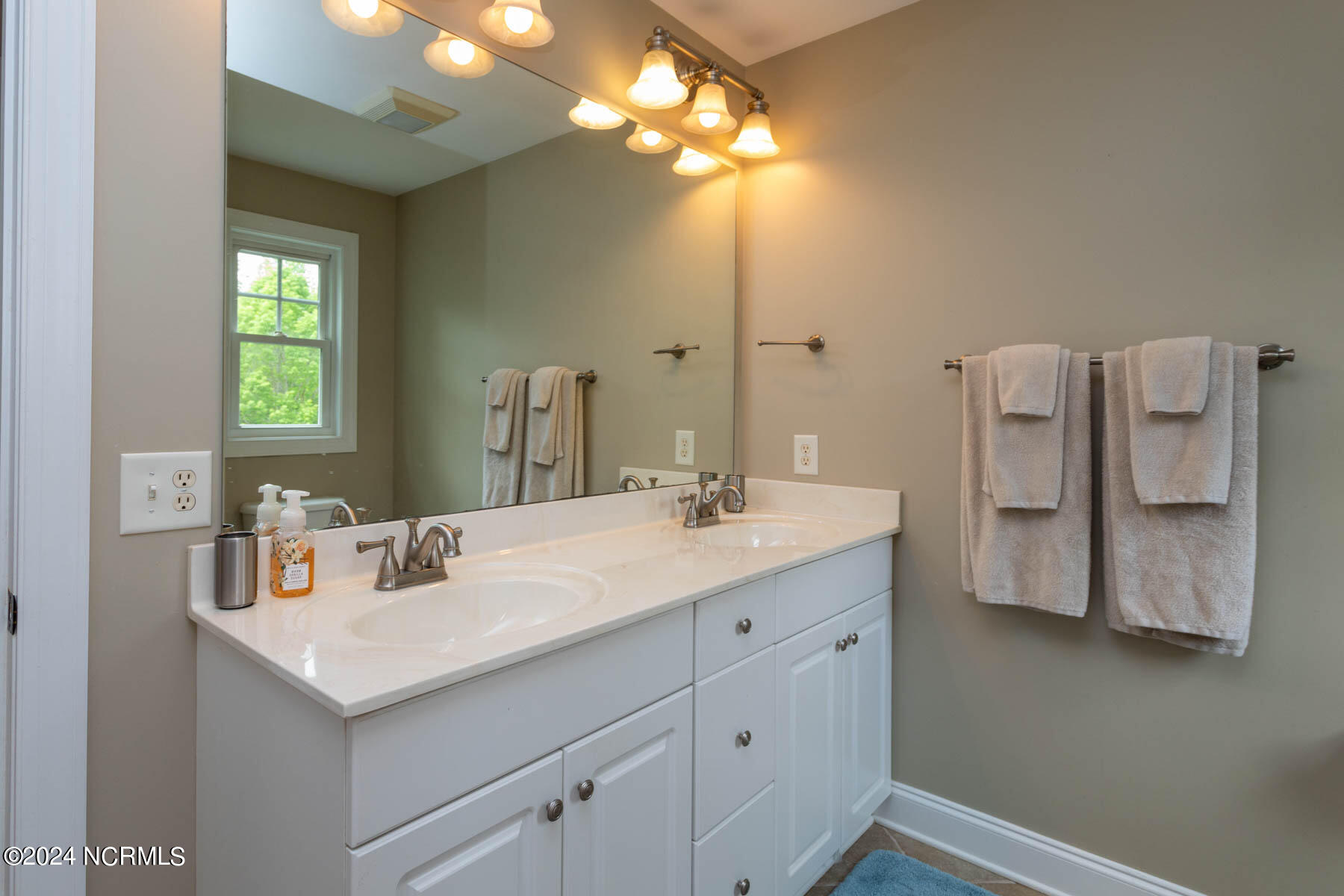 195 Shagbark Court