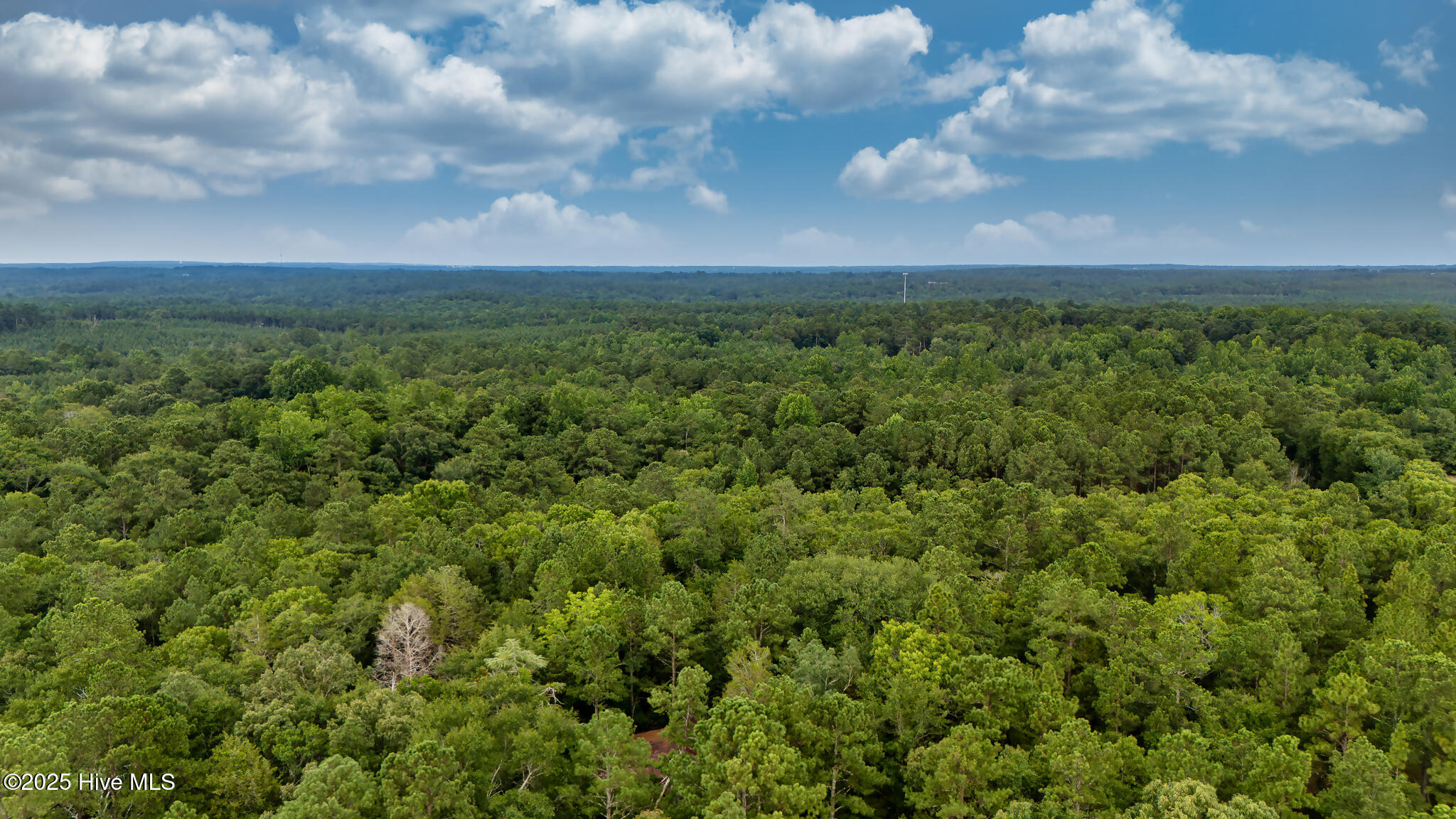 Lot 3 3 Carthage Road