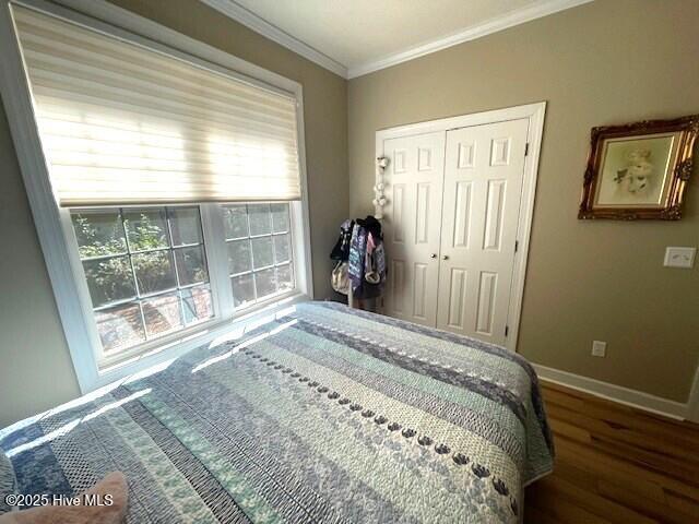 125 Pitch Pine Lane 12