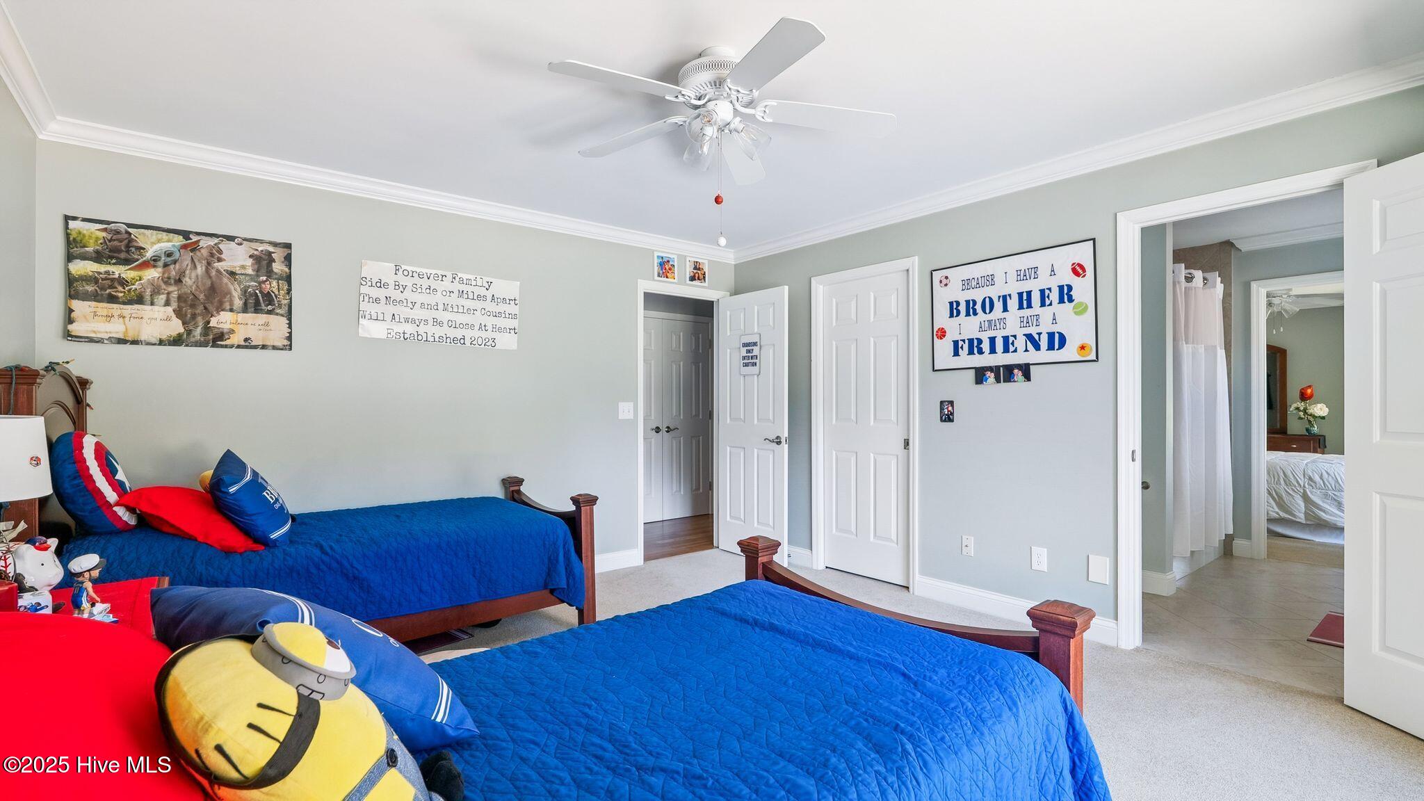 11 Mcmichael Drive