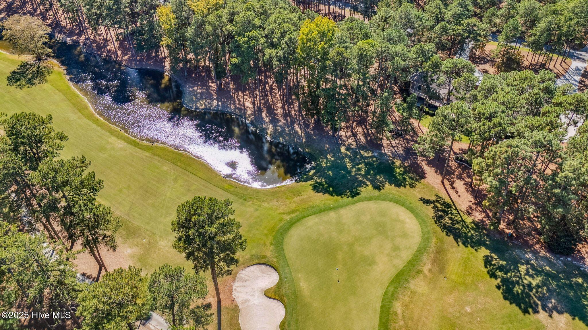 11 Mcmichael Drive