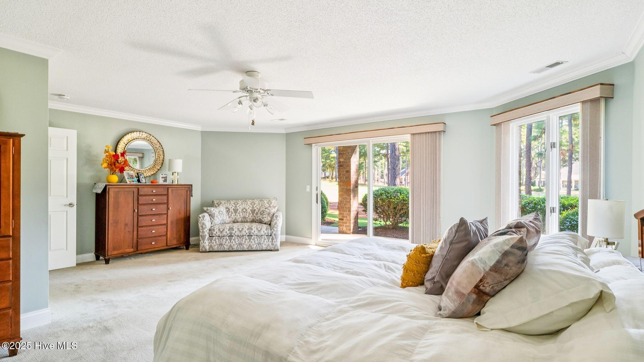 11 Mcmichael Drive