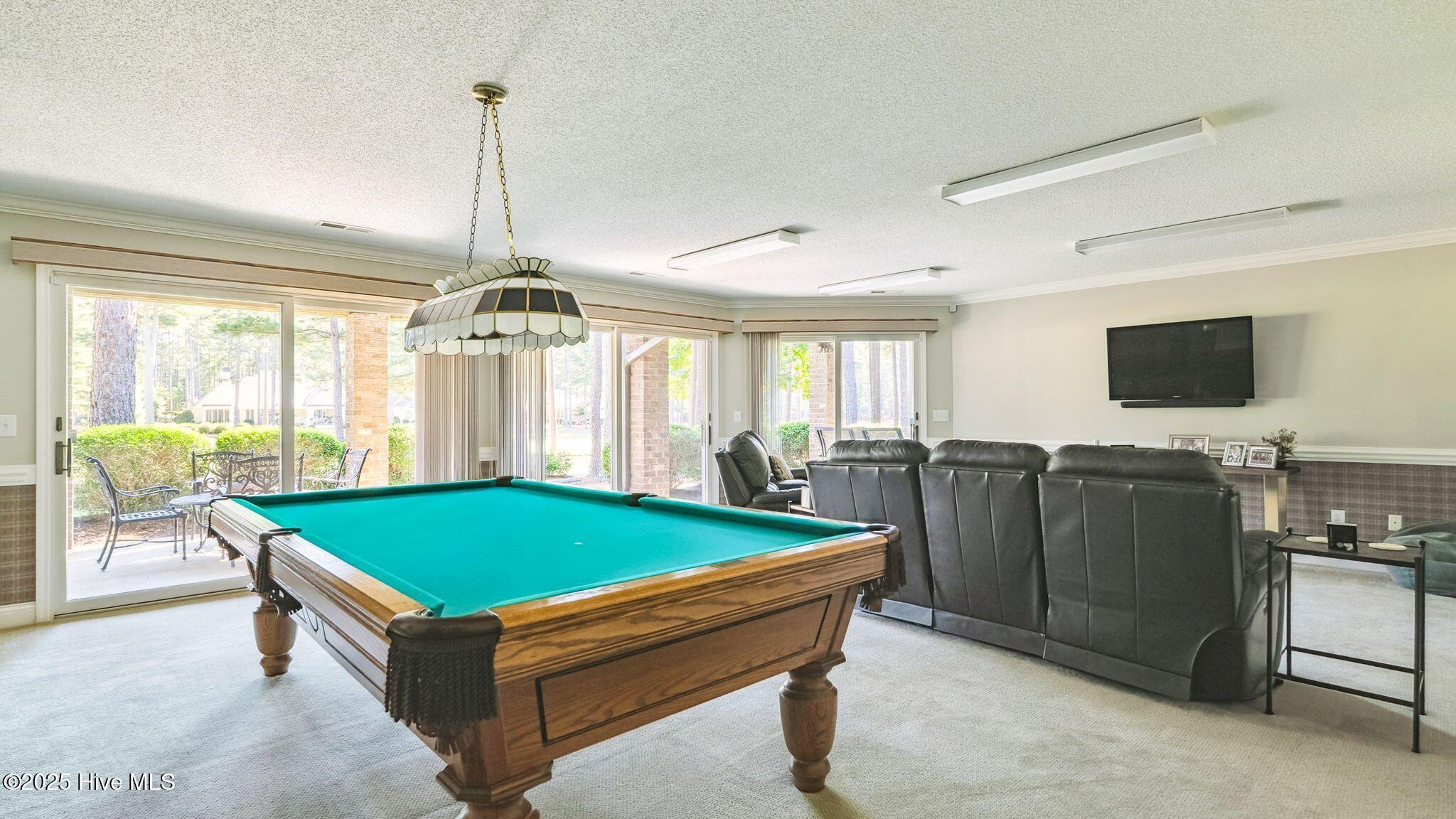 11 Mcmichael Drive