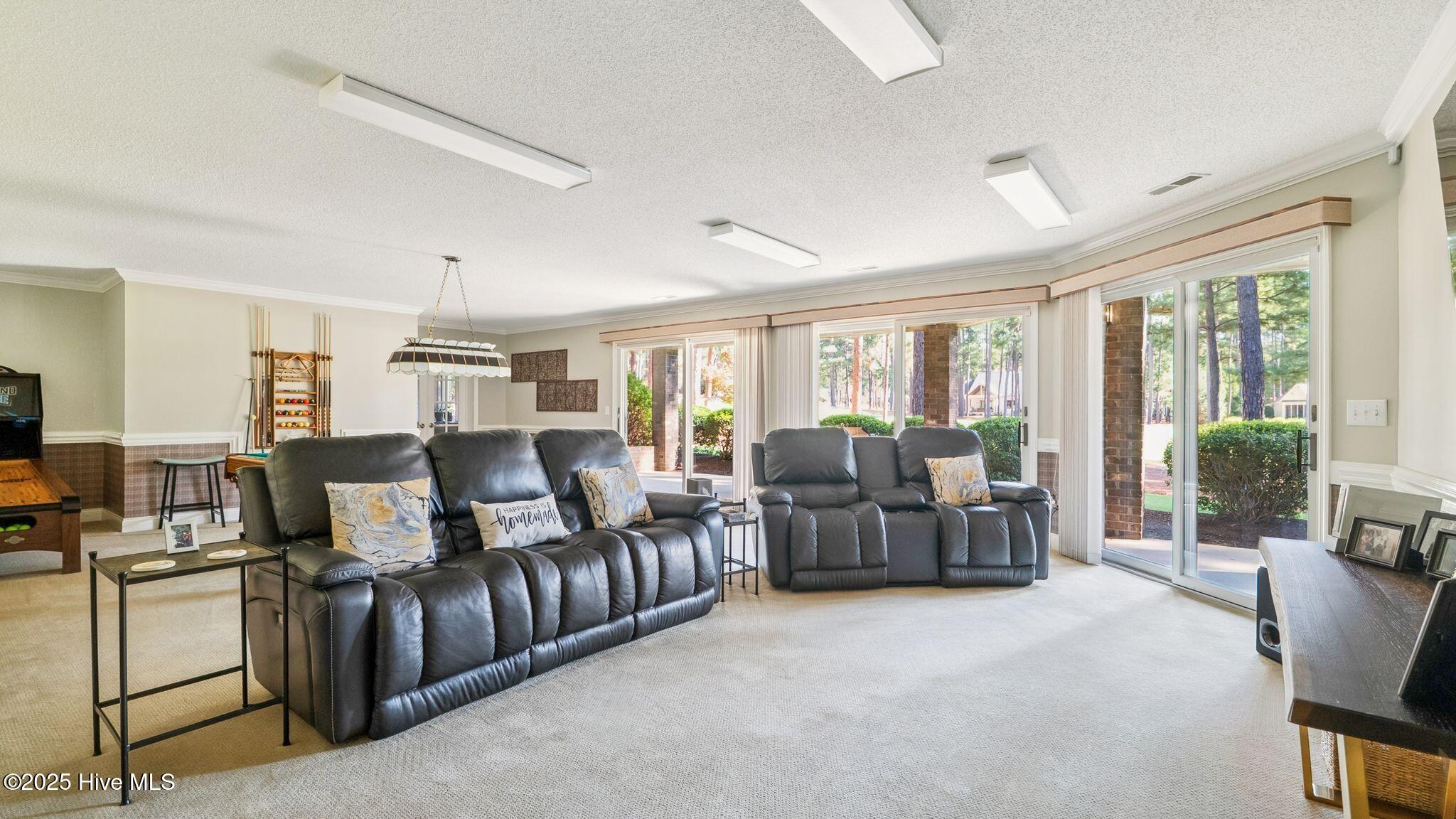 11 Mcmichael Drive